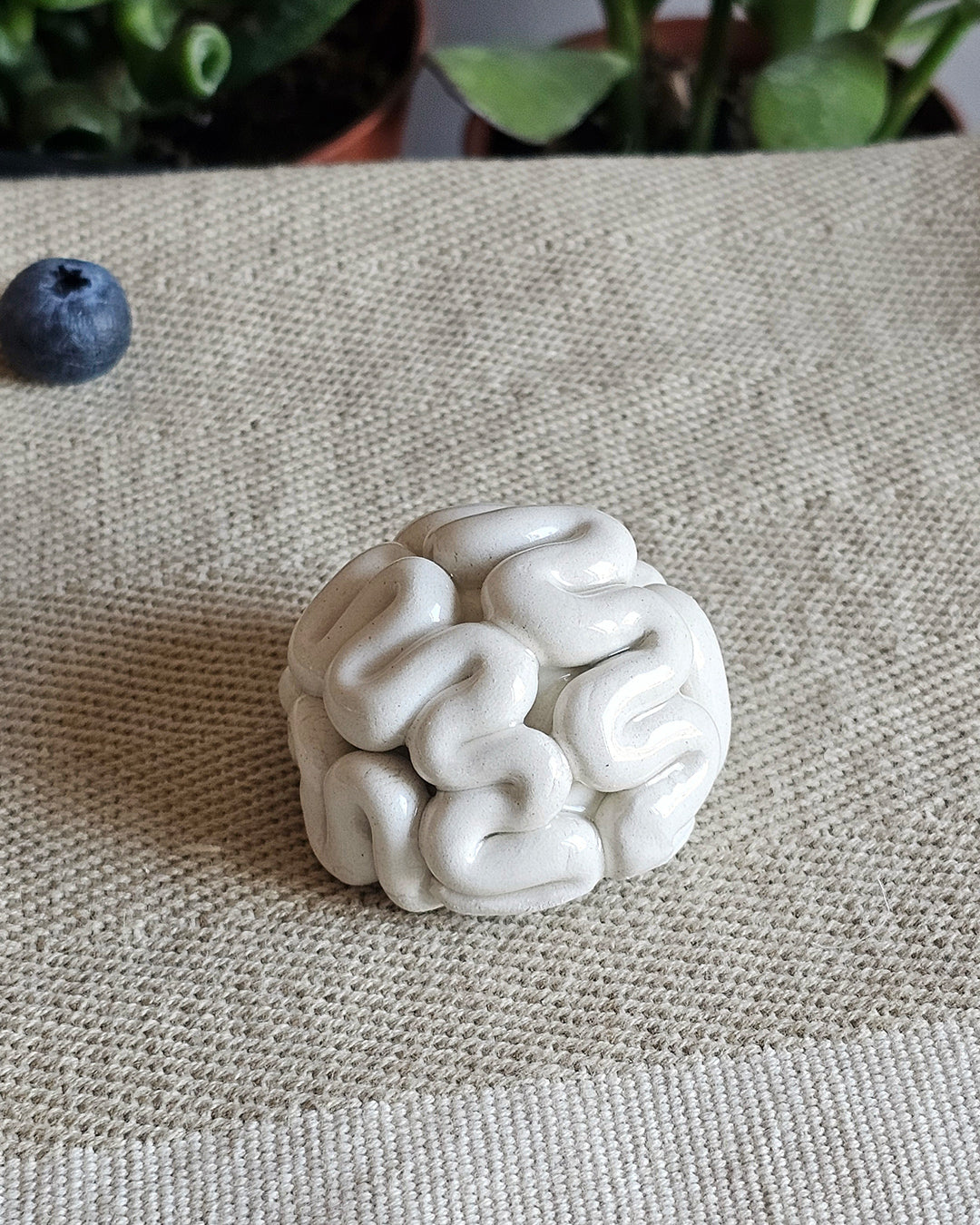 Cervello in miniatura in ceramica bianca con circonvoluzioni incise a mano