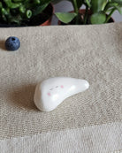 Pancreas in ceramica bianca dalla forma allungata, scultura fatta a mano