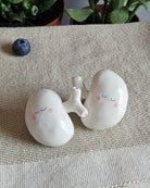 Coppia di reni in ceramica bianca, sculture fatte a mano una per una